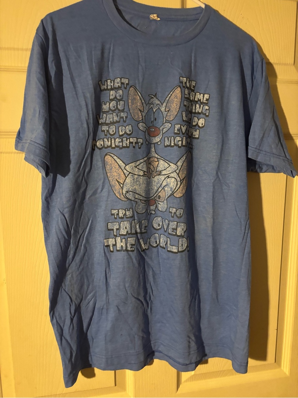 Pinky and the Brain-Blue Graphic Men's T-Shirt with Cartoon Print